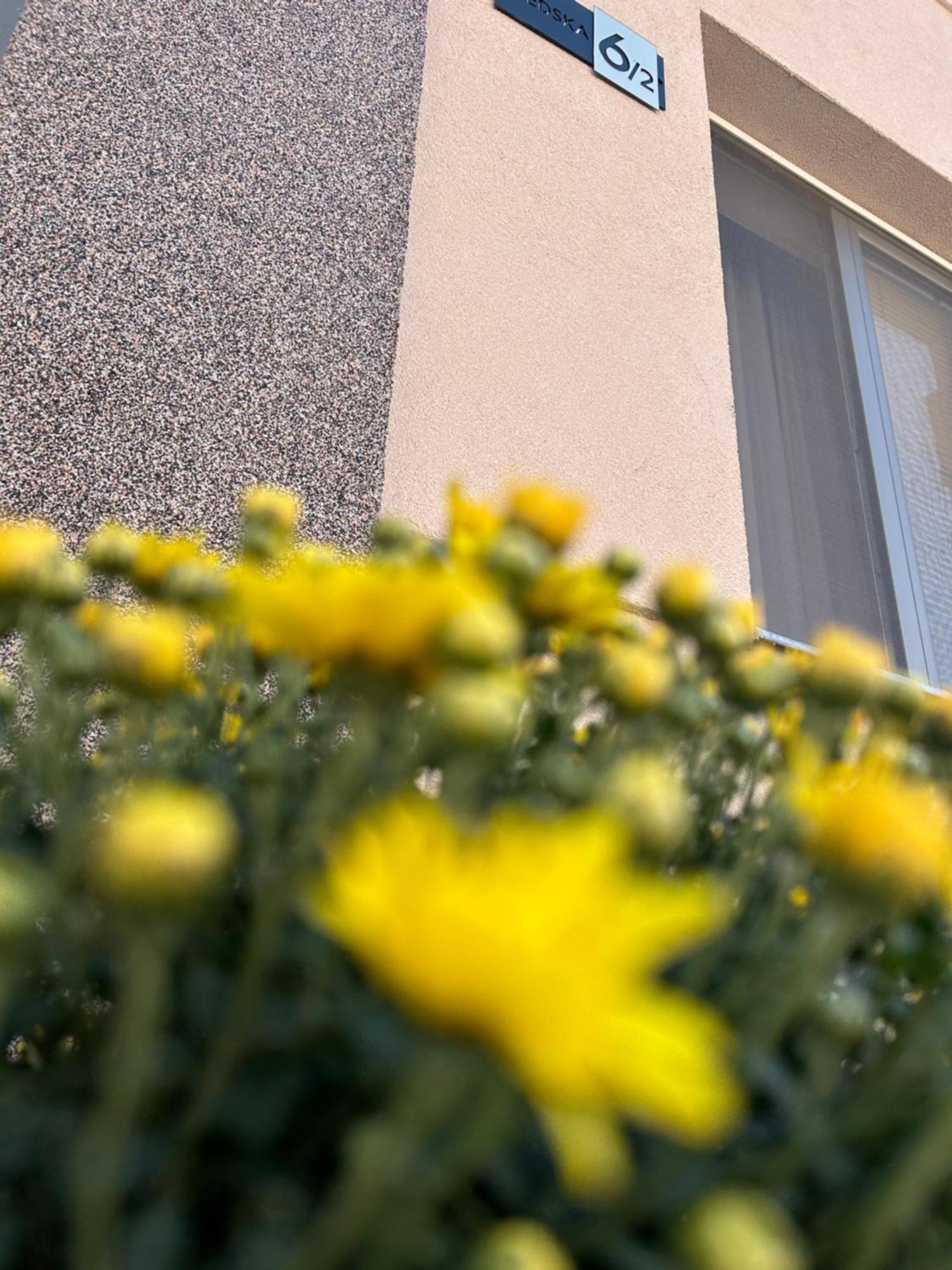 Apartman Tara Subotica Extérieur photo